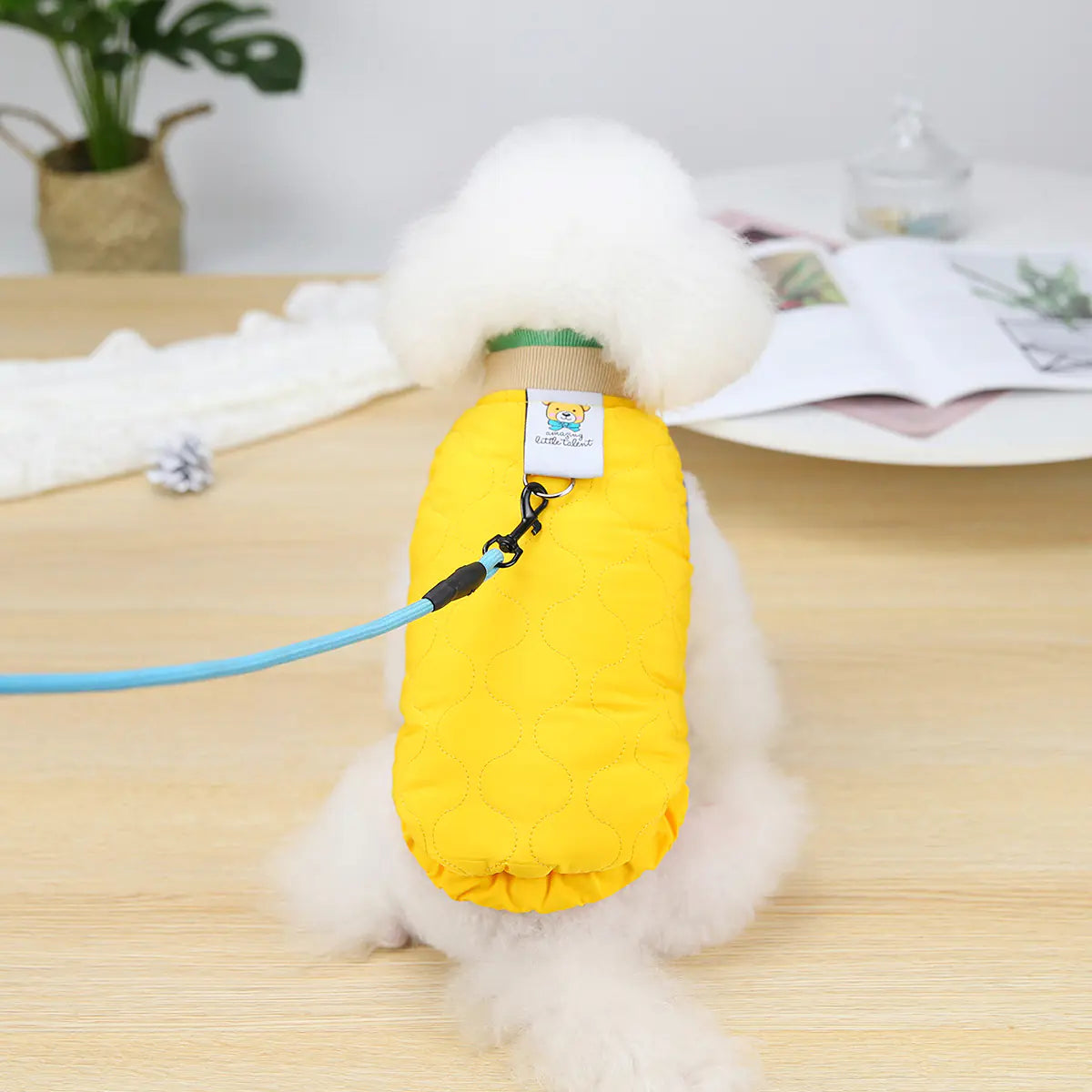 Cozy Puppy Autumn-Winter Vest