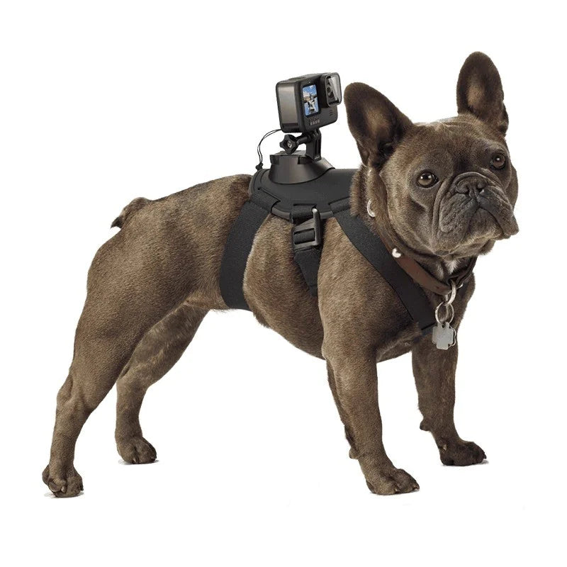 Dog Harness with Chest Strap for Camera Accessory