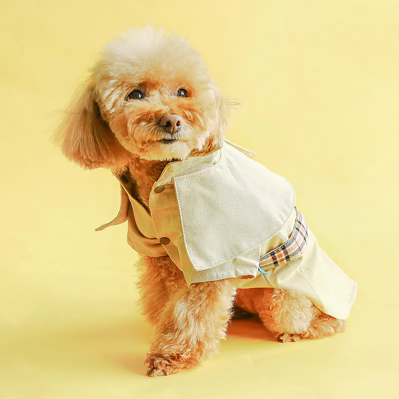 Spring Pup Windbreaker - Trendy Coat for Small Dogs