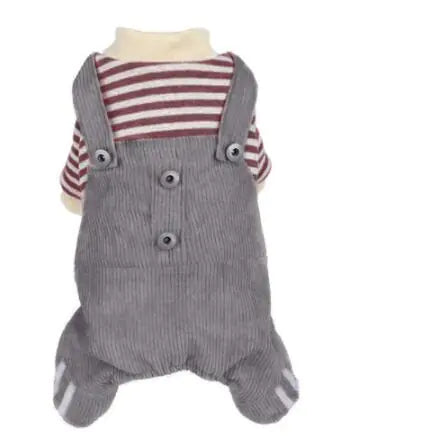 Chic Small Dog Spring/Autumn Collection