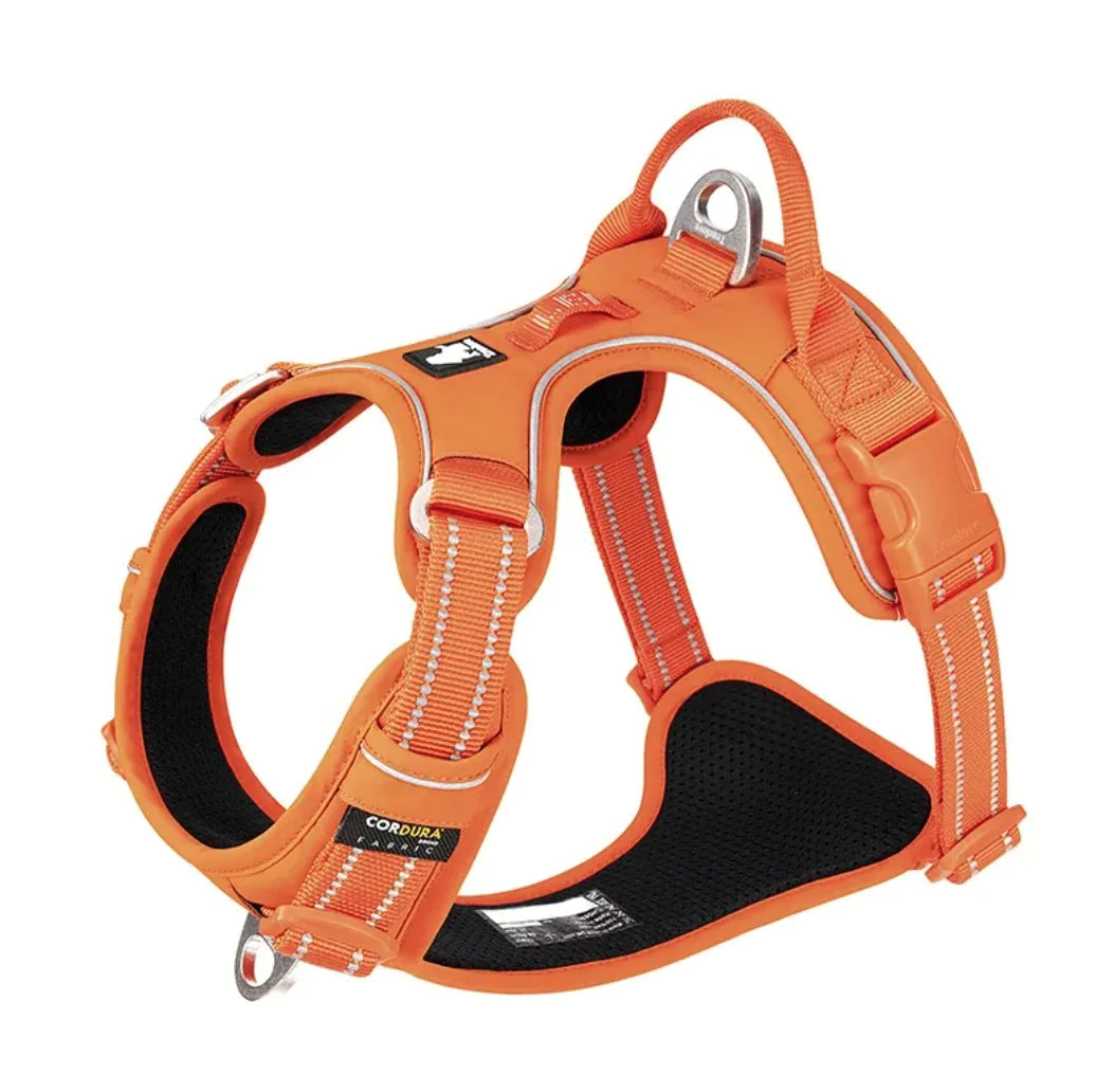 Reflective Dog Harness with Leash
