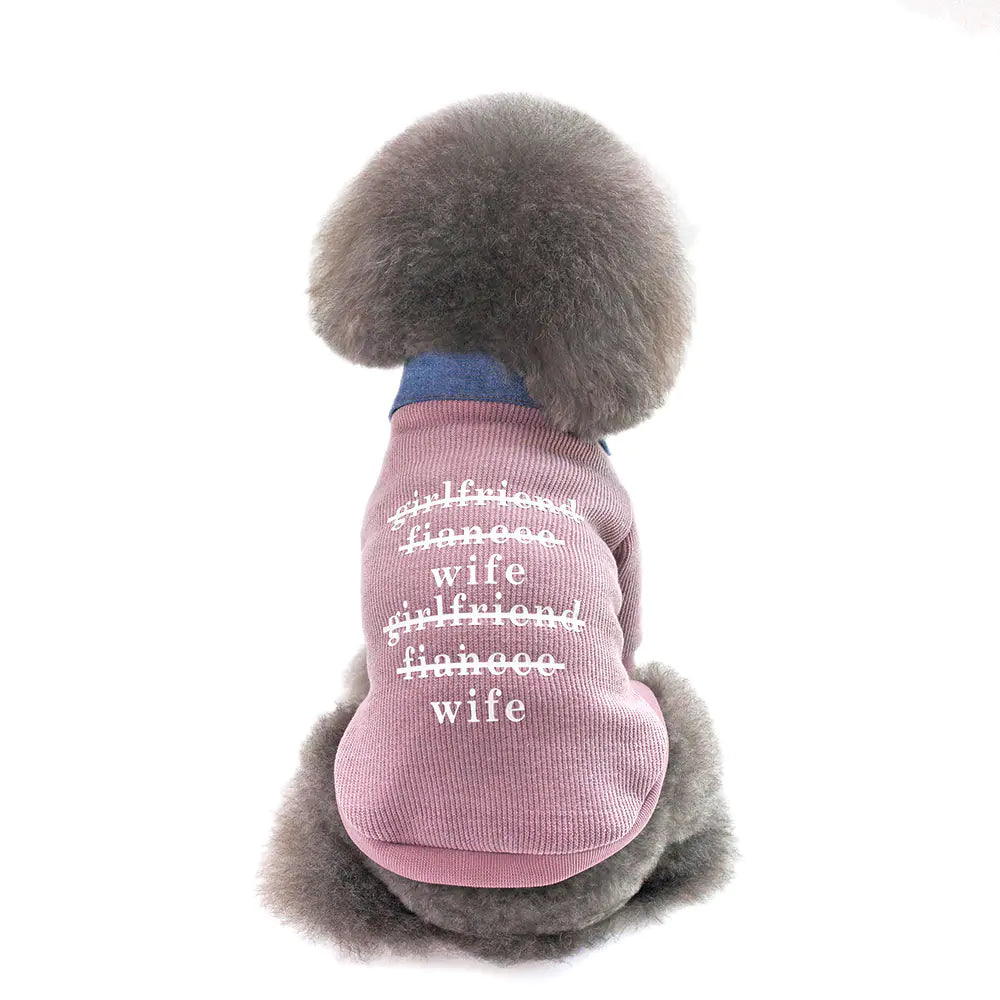 Chic Cardigan Dog Hoodie - Small Breed
