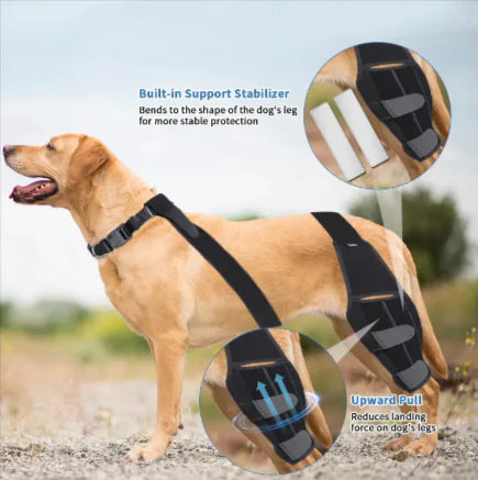 Canine Comfort Knee Pads: Protective Dog Gear